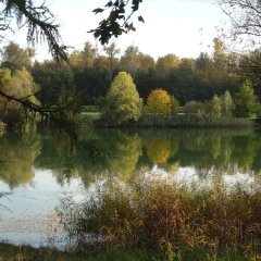 Landschaftsfoto des Bibliser Sees